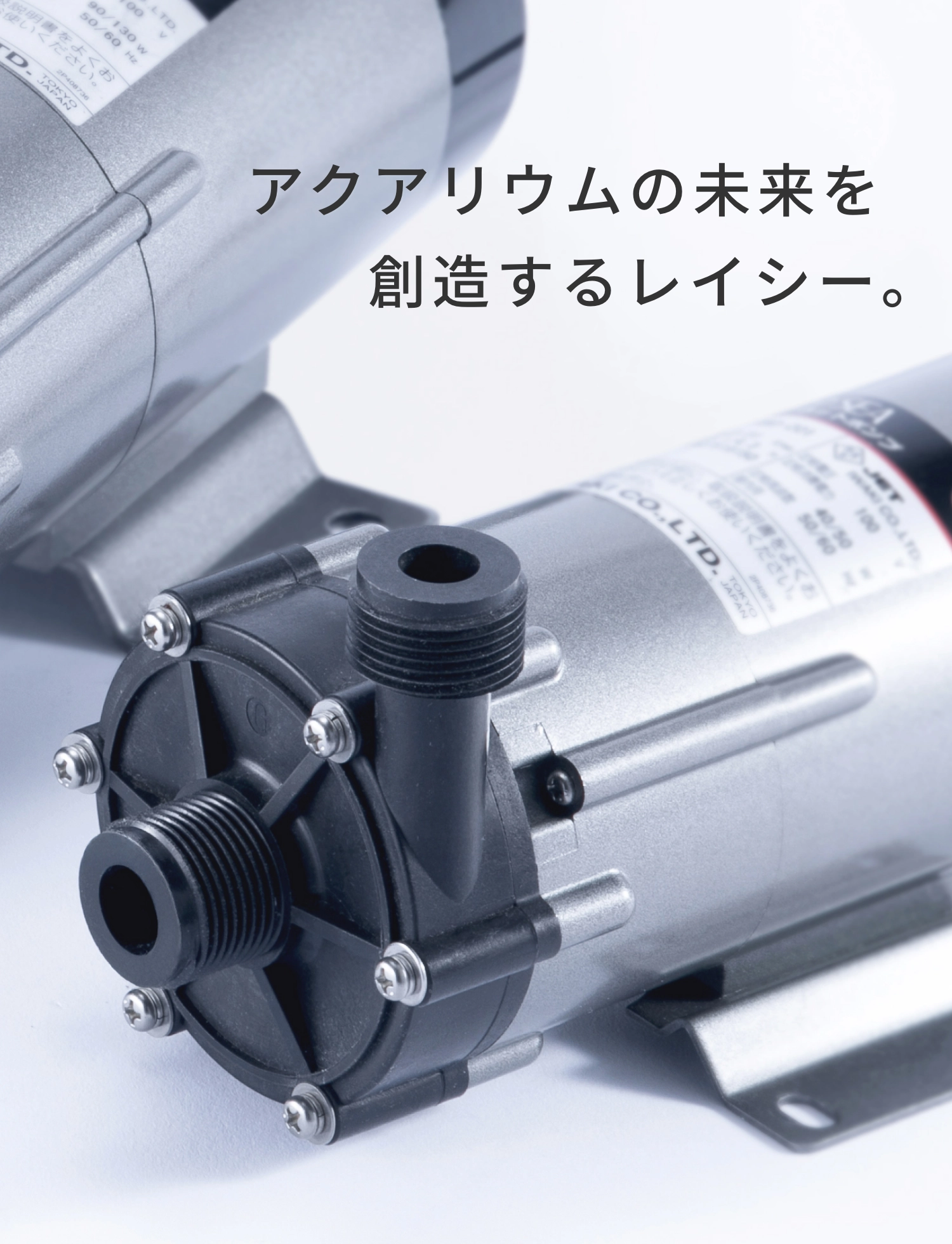 アクアリウムの未来を創造するレイシー。